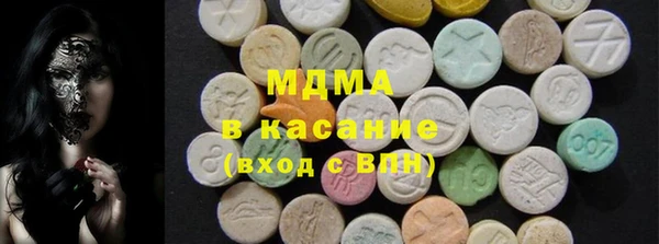 прущие грибы Михайловск