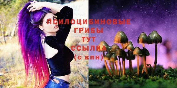 ешки Билибино