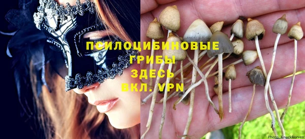 а пвп мука Навашино