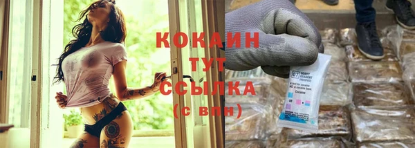 гидра Наволоки
