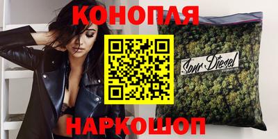 трава Кингисепп