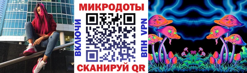 кракен зеркало  Кондопога  Псилоцибиновые грибы MAGIC MUSHROOMS  как найти  