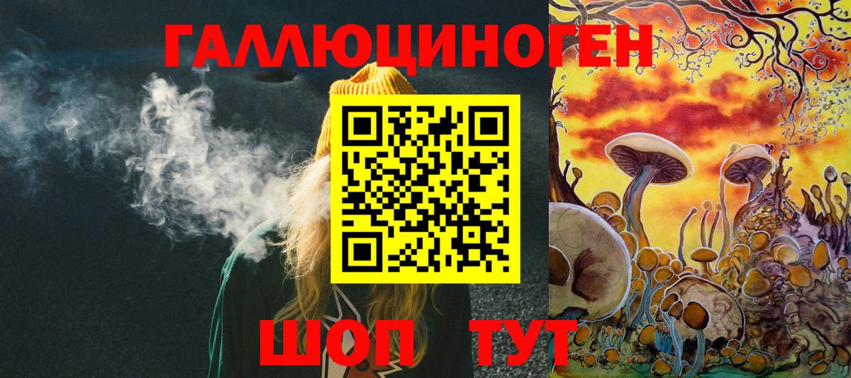 Псилоцибиновые грибы мицелий Кондопога