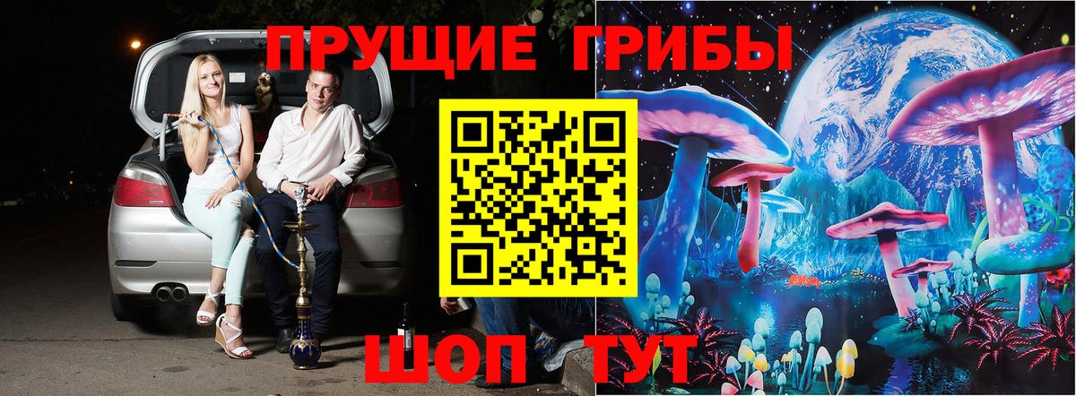 Галлюциногенные грибы Psilocybine cubensis  Кондопога 