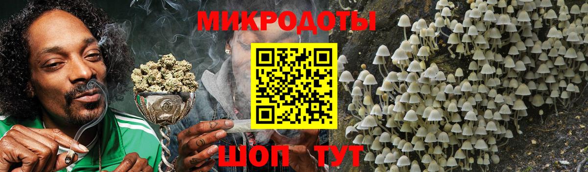 Галлюциногенные грибы Psilocybe  Вход с VPN  Кондопога 