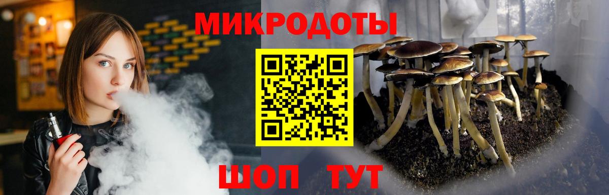 Галлюциногенные грибы мицелий Кондопога