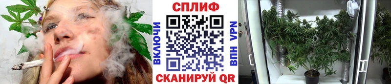 Конопля Ganja Кондопога